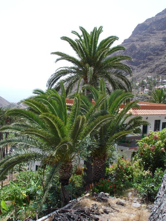 Goyo Gomera Apartments Valle Gran Rey Exterior photo